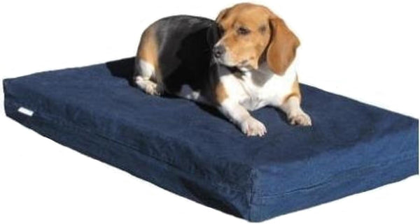 Steel Elevated Pet Bed - 2 Sizes