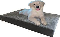 Steel Elevated Pet Bed - 2 Sizes