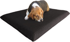 Steel Elevated Pet Bed - 2 Sizes