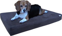 Steel Elevated Pet Bed - 2 Sizes