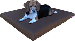 Steel Elevated Pet Bed - 2 Sizes