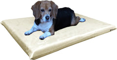 Steel Elevated Pet Bed - 2 Sizes