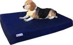 Steel Elevated Pet Bed - 2 Sizes